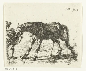 Pinkelndes Pferd